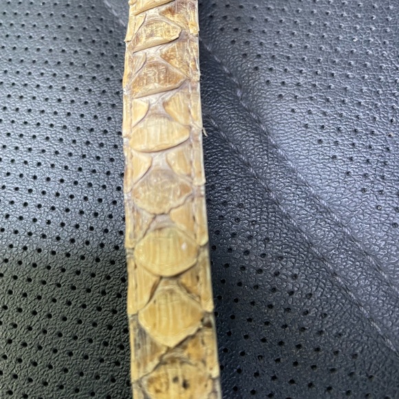 Genuine Python belt size: M - Picture 4 of 10